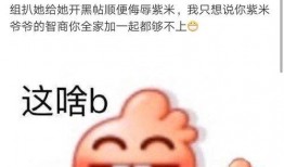 吃瓜群聊 网红是谁啊,吃瓜群聊中的神秘网红是谁？