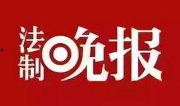 新闻爆料贴纸,追踪真相的神秘工具