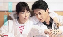 外科风云在线全集观看,揭秘医学巅峰对决的惊心动魄