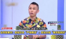 凤梨爆料视频大全集免费观看,独家揭秘，免费畅享精彩瞬间