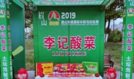 李记东坡爆料视频大全,揭秘幕后故事与精彩瞬间