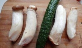 娱乐吃瓜酱美玉,揭秘美玉背后的故事与魅力