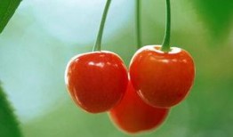 樱桃在线观看完整版,浪漫邂逅，甜蜜回忆