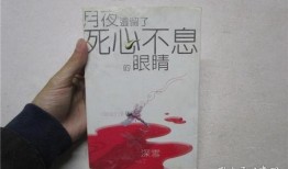 死心不息在线观看,一场不屈不挠的在线情感之旅