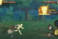 九尾最新爆料视频大全在线观看