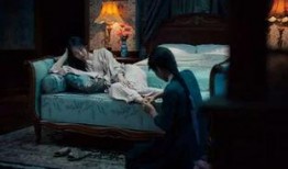 小姐女同电影在线观看,一场跨越性别界限的浪漫之旅