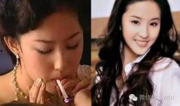 吃瓜娱乐圈神仙姐姐免费阅读,神仙姐姐的免费瓜田之旅