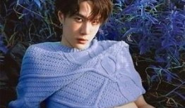 王艺博个人资料爆料视频,从个人资料到爆料视频的全方位解析