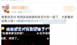 老李五月玫瑰爆料视频完整版,揭秘事件背后惊人真相