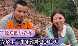 农民网红爆料视频播放下载,视频播放下载背后的惊人数据揭秘