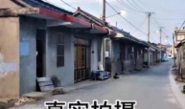 涿州洪水最新爆料信息网,实时追踪，揭秘洪水真相