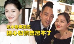 台媒爆料汪小菲视频回看,揭秘背后真相