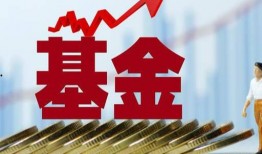 方舟金价爆料最新消息,市场动态揭秘，投资风向标再起