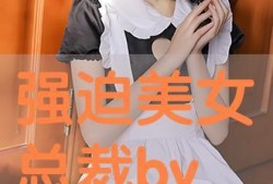 美女爆料行业老板视频播放,美女爆料视频背后的真相与争议