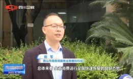 眉山头条爆料新闻,揭秘某重大事件背后真相