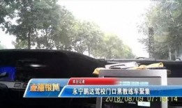 爆料合集驾校口播视频大全,揭秘驾校教练那些“神”段子