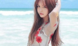 韩安冉爆料前任婆婆视频,家庭矛盾引发热议