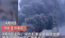 日本东谷爆料事件视频播放,视频揭露惊人内幕