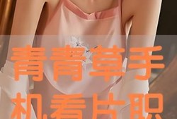 在线观看青青草,网络世界的青春记忆