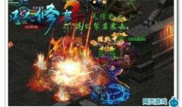 龙年新宠爆料视频,萌态可掬，吸睛无数！