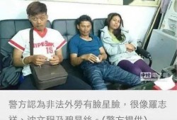 台媒爆料搞笑视频合集,搞笑视频合集笑料百出，网友直呼笑到肚子疼