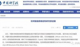 猪瘟最新爆料新闻报道,揭秘病毒传播途径与防控措施