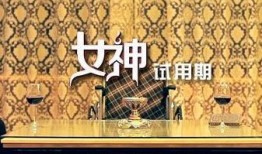 女神试用期在线观看,职场新秀的蜕变之旅