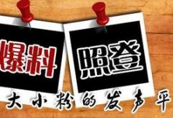 新闻爆料贴纸,追踪真相的神秘工具