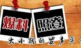 新闻爆料贴纸,追踪真相的神秘工具