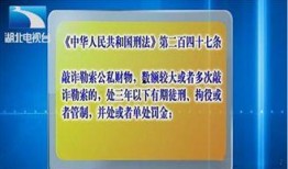 遇到新闻爆料怎么办,如何正确处理与应对