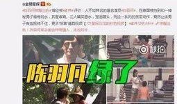 表哥爆料出轨视频大全,揭秘娱乐圈背后的秘密与背叛