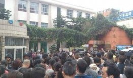 昆明小学爆料事件最新,真相揭开，家长教师共同守护孩子安全