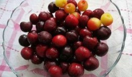 樱桃在线观看完整版,浪漫邂逅，甜蜜回忆