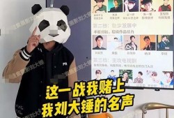 刘大锤爆料最新视频全集,精彩瞬间一网打尽
