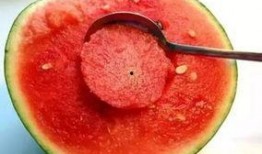 娱乐吃瓜酱美玉,揭秘美玉背后的故事与魅力