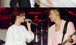 娱乐圈吃瓜综艺文,揭秘明星幕后故事与综艺幕后花絮