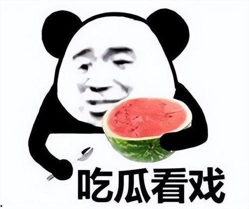 坐等吃瓜表情包,揭秘网络表情包的魅力